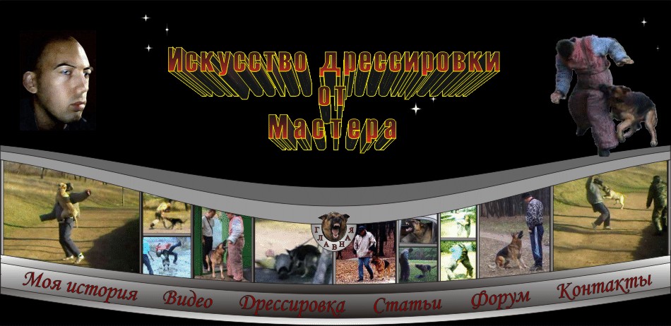 Дрессировка собак. Кинолог. Защита. Охрана. Послушание. Дрессировка собак в Москве. Прикладная дрессировка. Скрытая аммунниция. Психологическая подготовка к экстремальным ситуациям.Контакты